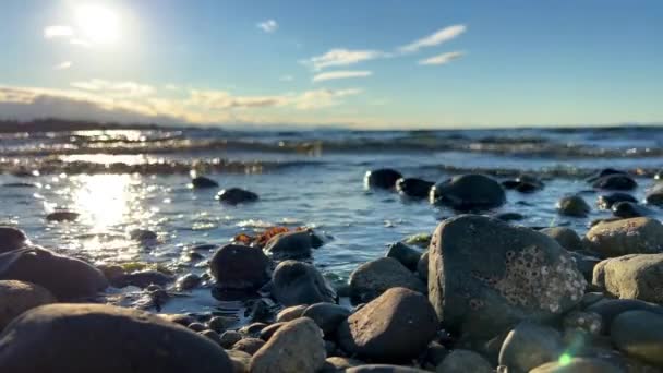 Sun Setting Stone Beach Reflections Sun Visible Water Pacific Ocean — Video