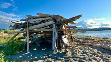 childrens house on the beach made of pieces of broken trees as if halabuda tree house dry ruined trees stones summer vacation. High quality 4k footage