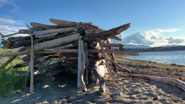Childrens House Beach Made Pieces Broken Trees Halabuda Tree House — Vídeos de Stock