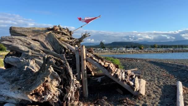 Дитячий Будинок Пляжі Зроблений Шматків Зламаних Дерев Ніби Будинок Дереві — стокове відео