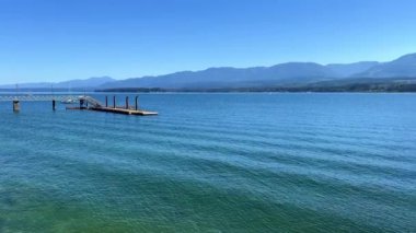 in Canada on Vancouver Island a dense cobweb in the forest many layers of a variety of cobwebs glistens in the sun there is no path all overgrown the spider tried to build its home. High quality