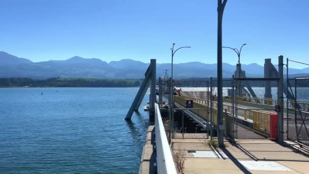in Canada on Vancouver Island a dense cobweb in the forest many layers of a variety of cobwebs glistens in the sun there is no path all overgrown the spider tried to build its home. High quality