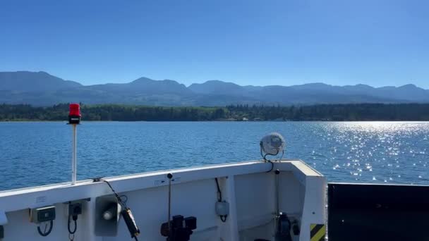 in Canada on Vancouver Island a dense cobweb in the forest many layers of a variety of cobwebs glistens in the sun there is no path all overgrown the spider tried to build its home. High quality