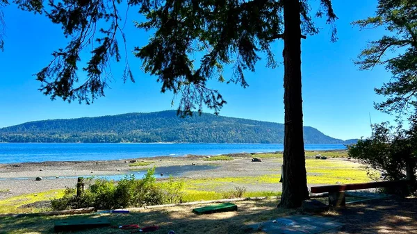 View Denman Island Hornby Island Lone Coniferous Tree Shore Seen — Fotografia de Stock