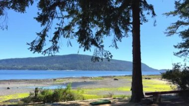 view from Denman island to Hornby island A lone coniferous tree on the shore is seen in the distance an island with mountains and also an ocean on which the ebb of the water has gone into the sea.