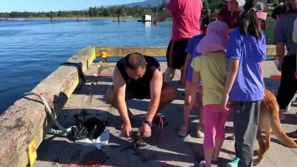 Catching Crabs People Casting Nets Catching Crabs Children Also Look — Stok video