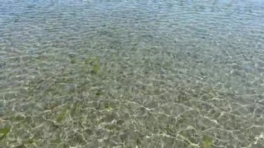 Sunbeams create ripples on the water this is the low tide in the Pacific Ocean But there are places where the fast current is beautiful background for any text test relax beauty tranquility love life