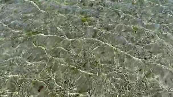 Sunbeams Create Ripples Water Low Tide Pacific Ocean Places Fast — Stockvideo