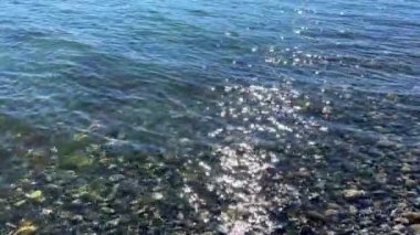 Wall beach, Nanoose Pacific Ocean beach on Vancouver Island a very beautiful combination of nature on the right side coniferous trees on the left side the ocean looks like a lake or the sea. 4k