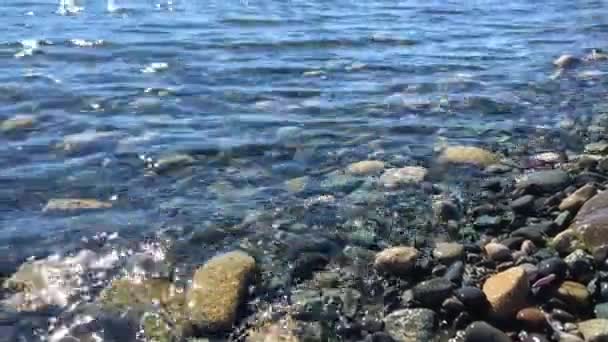 Wall Beach Nanoose Pacific Ocean Beach Vancouver Island Very Beautiful — ストック動画