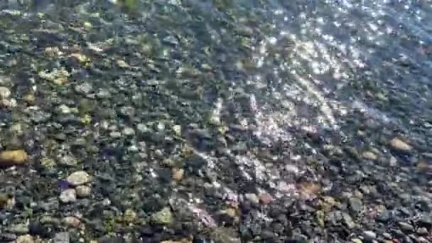 Wall Beach Nanoose Pacific Ocean Beach Vancouver Island Very Beautiful — Vídeo de Stock