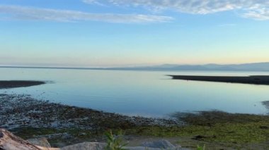 accelerated video of the low tide in the Pacific Ocean shows how the stones are exposed and wet earth with algae quickly the sea goes far away the association of life goes away the earth is drained