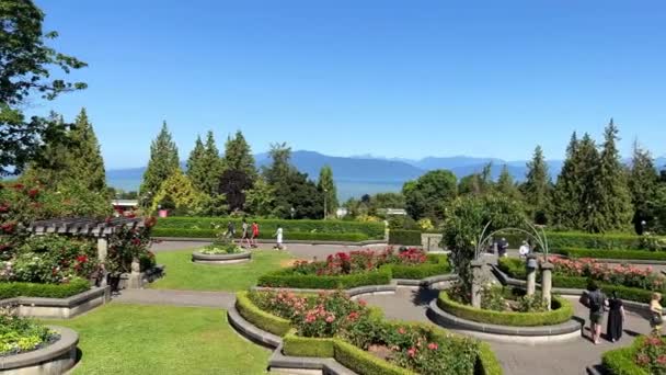 Rose Garden Vancouver Canada List Flowers University British Columbia Vancouver — Stock video