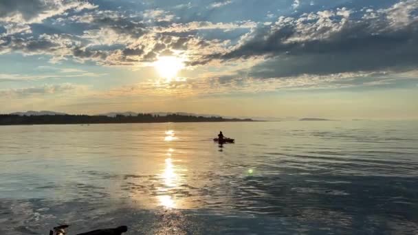 Adult Woman Sports Holiday She Paddles While Sitting Kayak Kayaking — Stock video