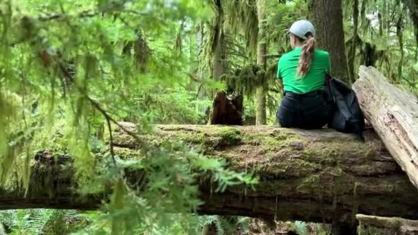 Macmillan Provincial Park Seven Wonders Canada Vancouver Island Ancient Douglas — Vídeos de Stock
