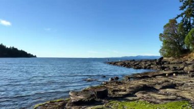 Wall beach, Nanoose Pacific Ocean beach on Vancouver Island a very beautiful combination of nature on the right side coniferous trees on the left side the ocean looks like a lake or the sea. 4k