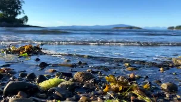 Wall Beach Nanoose Pacific Ocean Beach Vancouver Island Very Beautiful — 图库视频影像