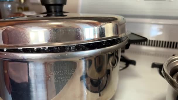 Stainless Steel Saucepan Stove Potatoes Boiled Steam Comes Out Water — Stock video