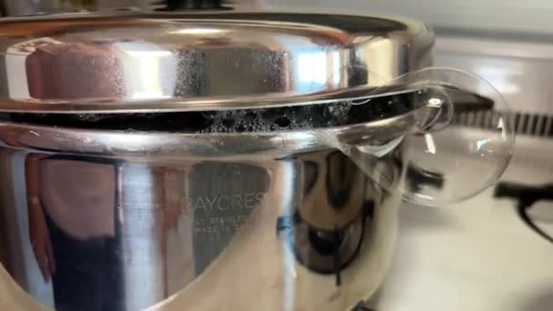 Stainless Steel Saucepan Stove Potatoes Boiled Steam Comes Out Water — ストック動画