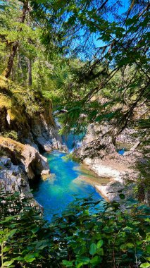 You can see the bright blue river from the waterfall Englishman river falls park Parksville Qualicum Vancouver Island Canada. High quality photo