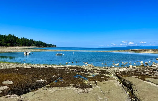 Low Tides Pacific Ocean Vancouver Island Canada Visible Fellow Countrymen — Fotografia de Stock