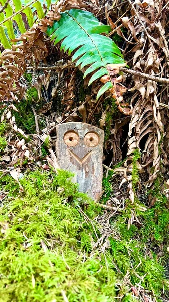 Fun Wooden Craft Hidden Jungle Smiling Owl Two Eyes Space — Photo