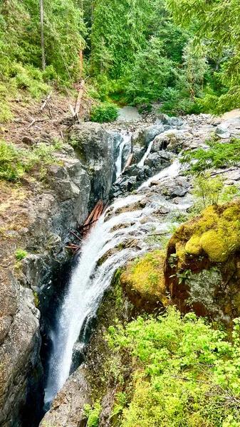 Vertical Photo Waterfall Englishman River Falls Park Parksville Qualicum Vancouver — Stock Photo, Image