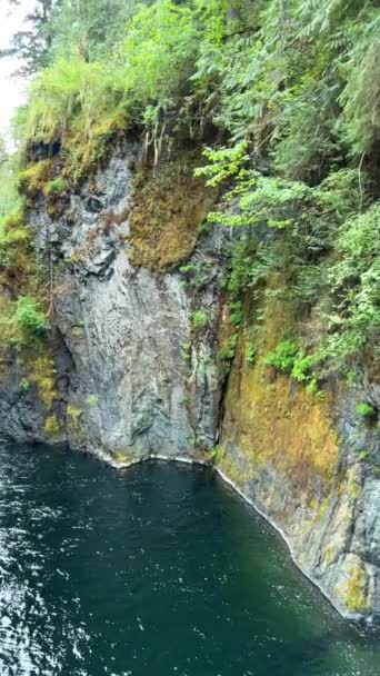 Beautiful Englishman River Waterfalls Upper Section Parksville British Columbia Canada — Vídeo de Stock