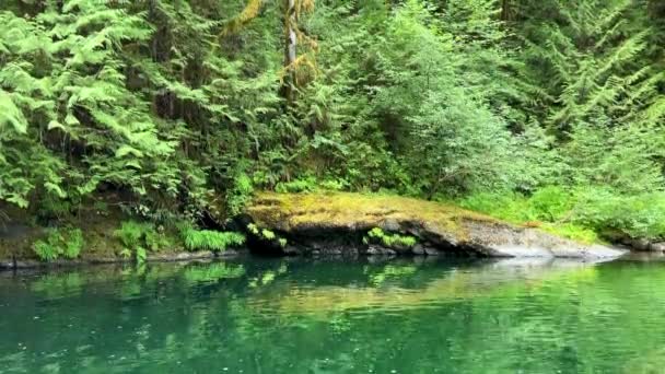 Beautiful Englishman River Waterfalls Upper Section Parksville British Columbia Canada — 图库视频影像
