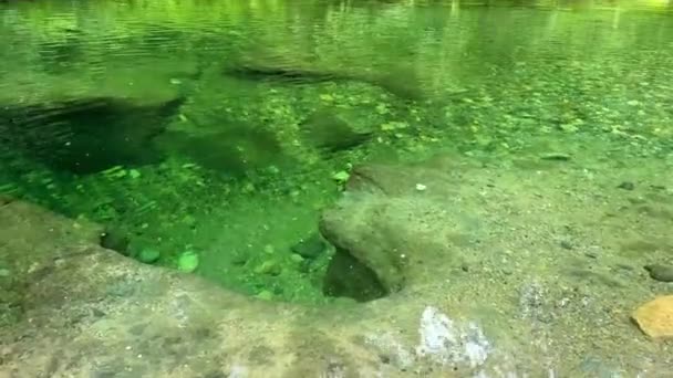 Beautiful Englishman River Waterfalls Upper Section Parksville British Columbia Canada — Vídeos de Stock