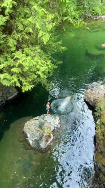 Children Jump High Cliff Water Beautiful Englishman River Waterfalls Upper — Wideo stockowe