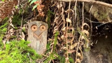 Fun wooden craft hidden in the jungle Smiling owl two eyes There is space for text Englishman river falls park Parksville Qualicum Vancouver Island Canada. High quality photo