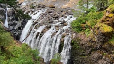 A beautiful view of the upper fall of Englishman river surrounded by mossy rocks and lush forest trees. High quality photo Englishman river falls park Parksville Qualicum Vancouver Island Canada
