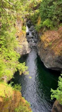 A beautiful view of the upper fall of Englishman river surrounded by mossy rocks and lush forest trees. High quality photo Englishman river falls park Parksville Qualicum Vancouver Island Canada
