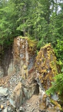 Beautiful Englishman River Waterfalls upper section , Parksville, British Columbia, Canada . High quality photo