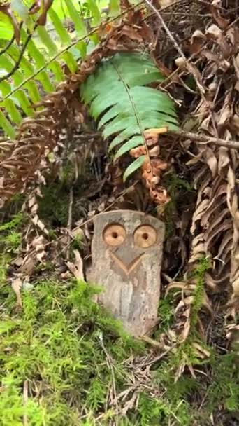 Fun Wooden Craft Hidden Jungle Smiling Owl Two Eyes Space — Stockvideo