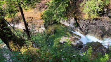 Traditional territory of the Kwalikum First Nation Little Qualicum Falls Provincial Park Clean clear and cold water Waterfall and Forest River The camera moves slowly Canada Vancouver Island.