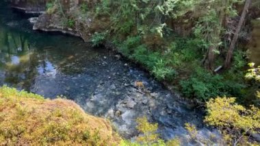 Traditional territory of the Kwalikum First Nation Little Qualicum Falls Provincial Park Clean clear and cold water Waterfall and Forest River The camera moves slowly Canada Vancouver Island.