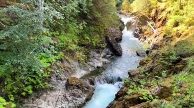 Traditional territory of the Kwalikum First Nation Little Qualicum Falls Provincial Park Clean clear and cold water Waterfall and Forest River The camera moves slowly Canada Vancouver Island.