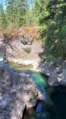 Traditional territory of the Kwalikum First Nation Little Qualicum Falls Provincial Park Clean clear and cold water Waterfall and Forest River The camera moves slowly Canada Vancouver Island.