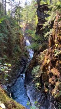 Traditional territory of the Kwalikum First Nation Little Qualicum Falls Provincial Park Clean clear and cold water Waterfall and Forest River The camera moves slowly Canada Vancouver Island.