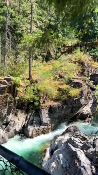 Traditional Territory Kwalikum First Nation Little Qualicum Falls Provincial Park — Stockvideo