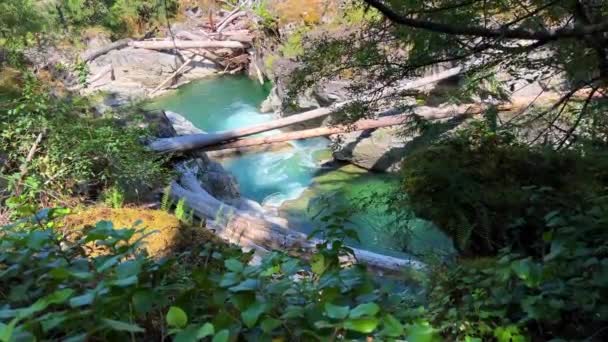 Traditional Territory Kwalikum First Nation Little Qualicum Falls Provincial Park — 图库视频影像