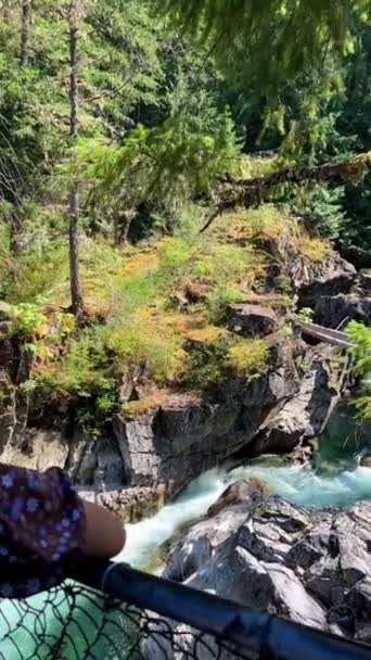 Traditional Territory Kwalikum First Nation Little Qualicum Falls Provincial Park — ストック動画