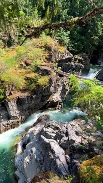 Traditional Territory Kwalikum First Nation Little Qualicum Falls Provincial Park — Stockvideo
