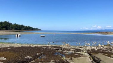 Low tides in the Pacific Ocean on Vancouver Island in Canada are visible to my fellow countrymen and somewhere on the pier there is a ship that may soon capsize because the water is leaving.
