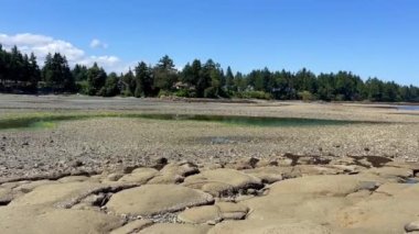 Low tides in the Pacific Ocean on Vancouver Island in Canada are visible to my fellow countrymen and somewhere on the pier there is a ship that may soon capsize because the water is leaving.