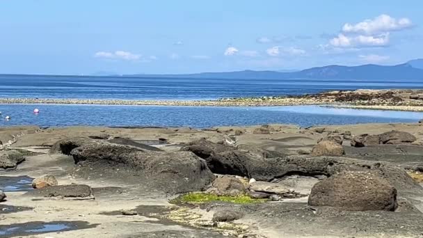 Low Tides Pacific Ocean Vancouver Island Canada Visible Fellow Countrymen — Stock video