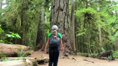 MacMillan Provincial Park A teenage girl stands near a huge tree she travels And she looks at the forest in a green T-shirt and black jeans and a cap with a backpack Like in a cartoon or horror movie.