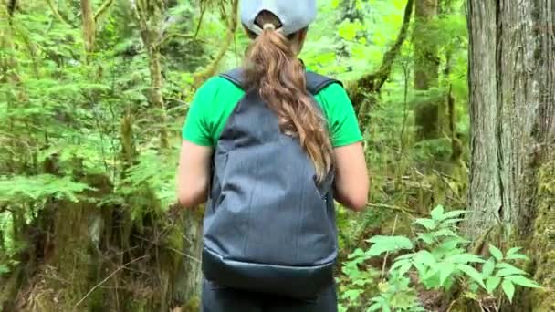 Macmillan Provincial Park Teenage Girl Stands Huge Tree She Travels — Stockvideo
